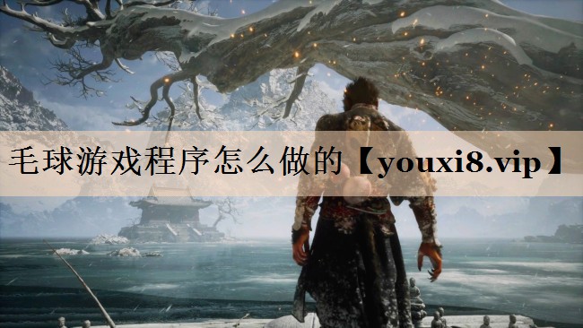 毛球游戏程序怎么做的