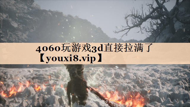 4060玩游戏3d直接拉满了