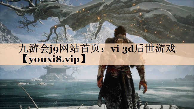 vi 3d后世游戏